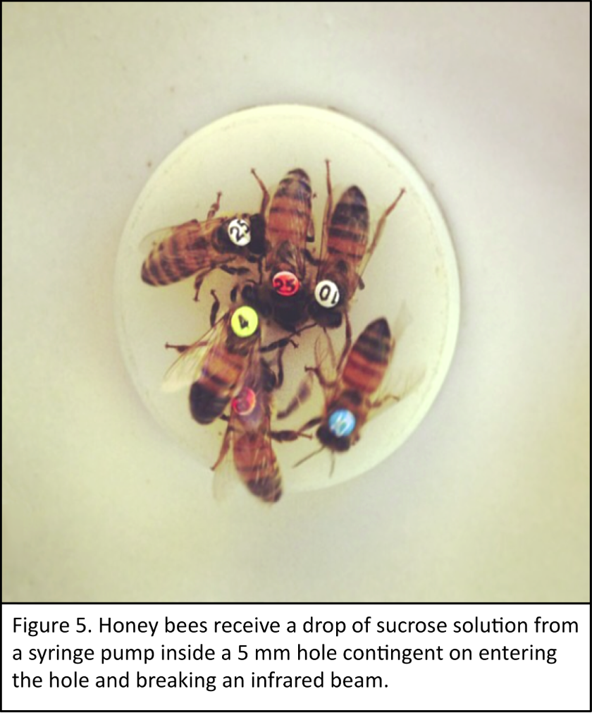 Figure from The Propeller Experiment Controller Paper